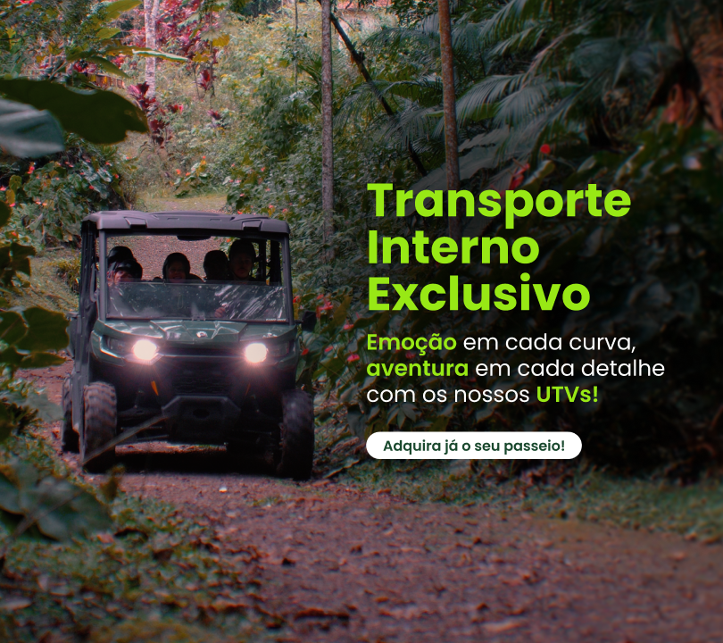Transporte Interno Exclusivo