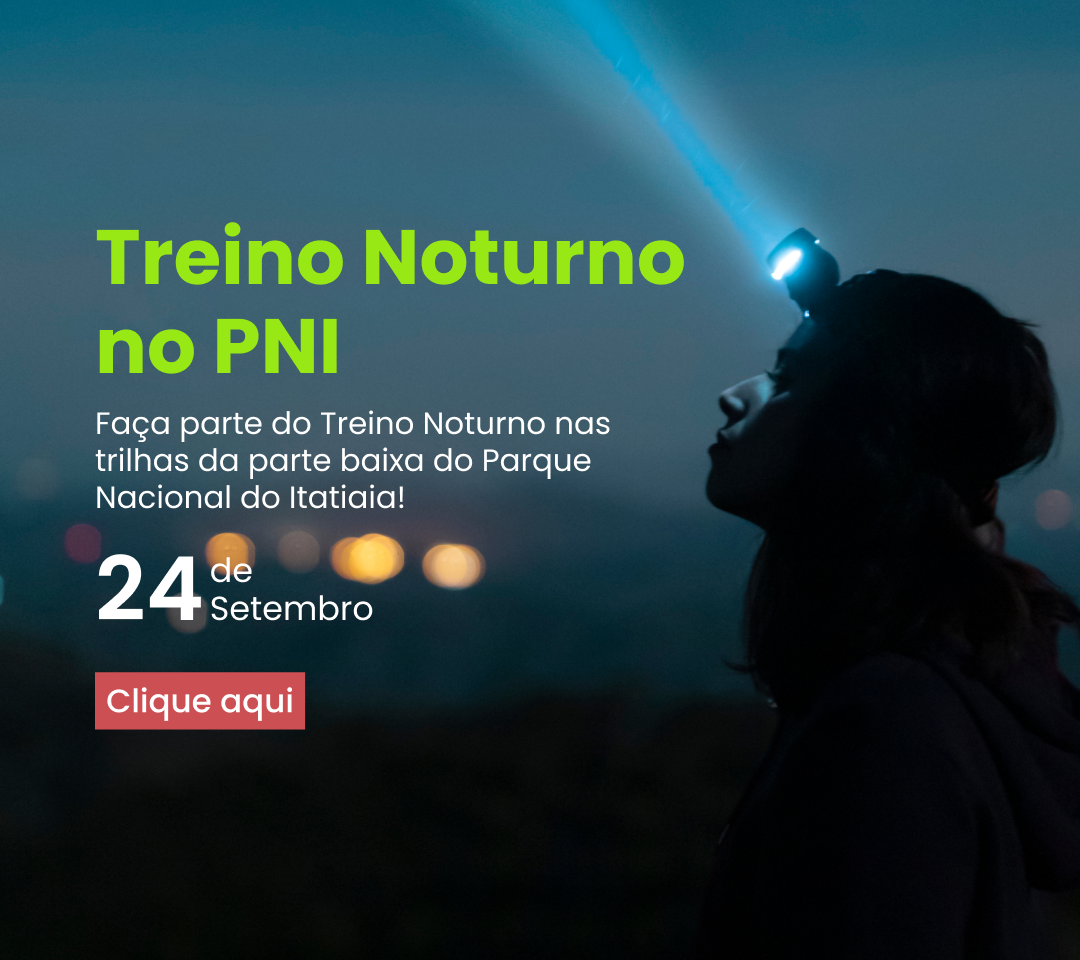 Treino Noturno