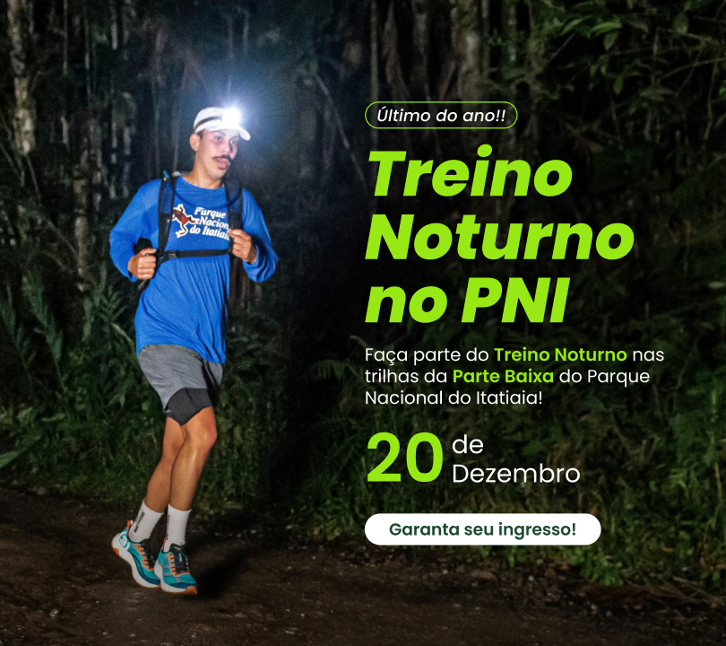 Treino Noturno