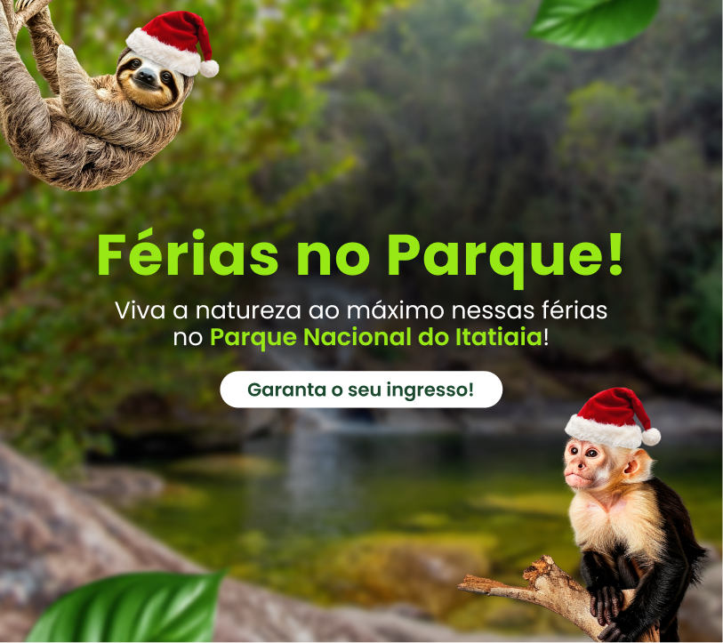 Férias no Parque