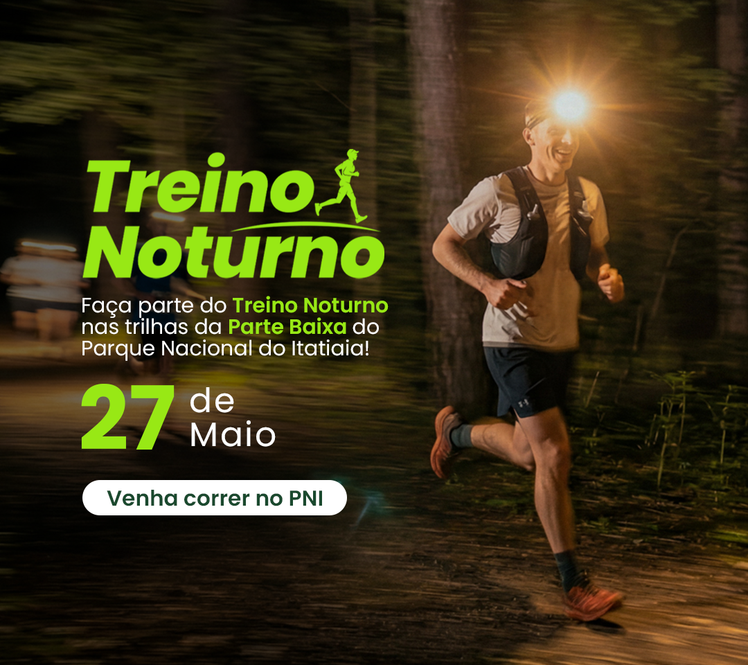 Treino Noturno