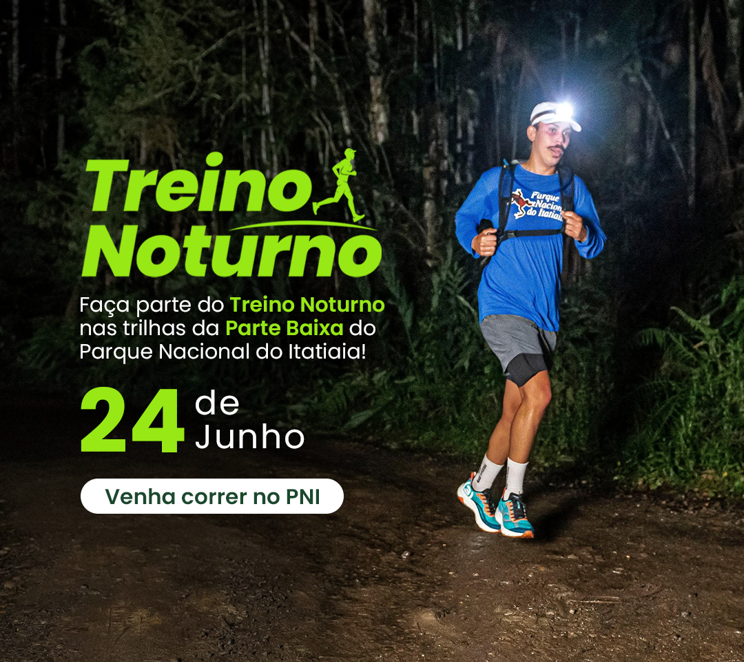Treino Noturno