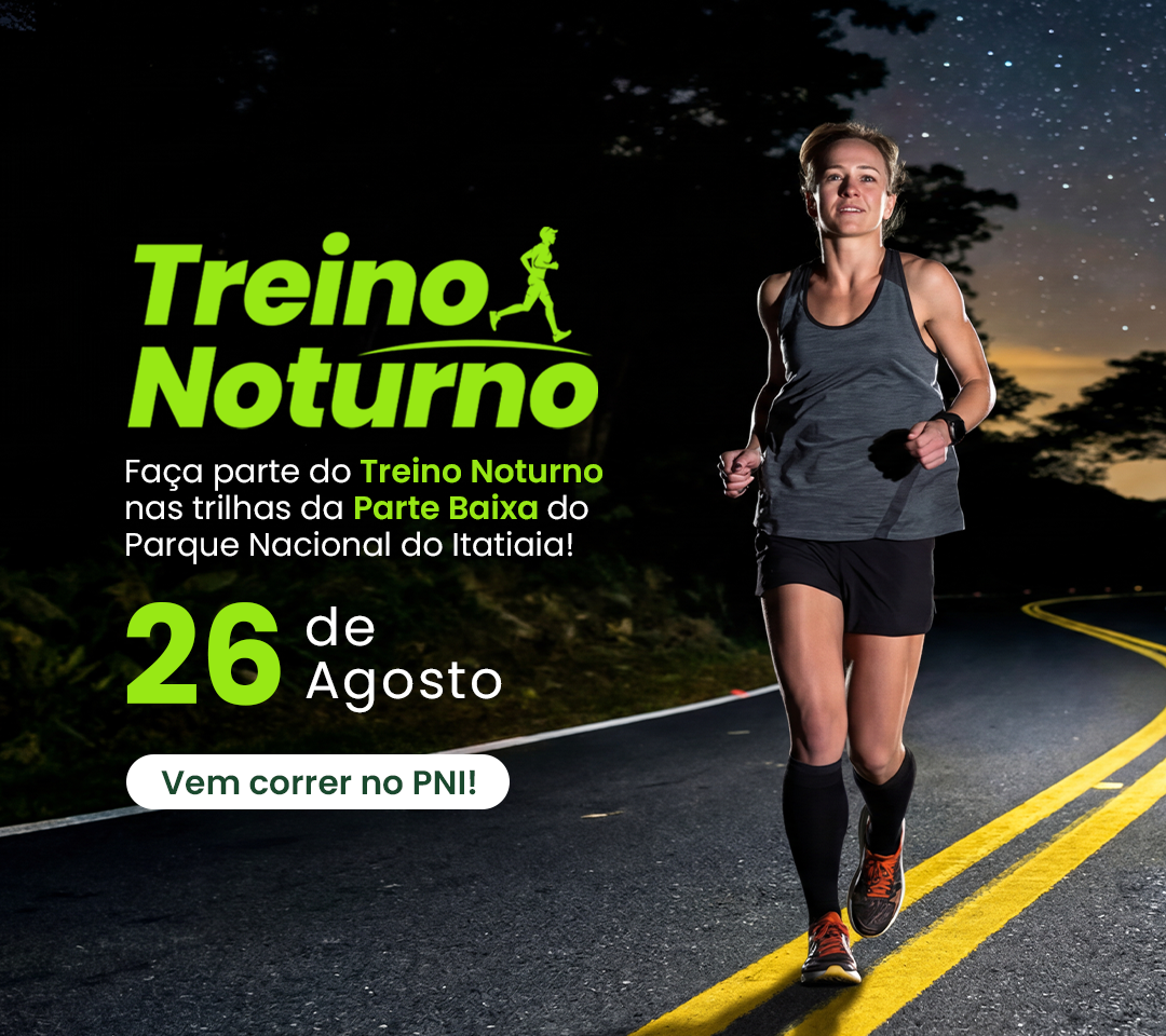 Treino Noturno