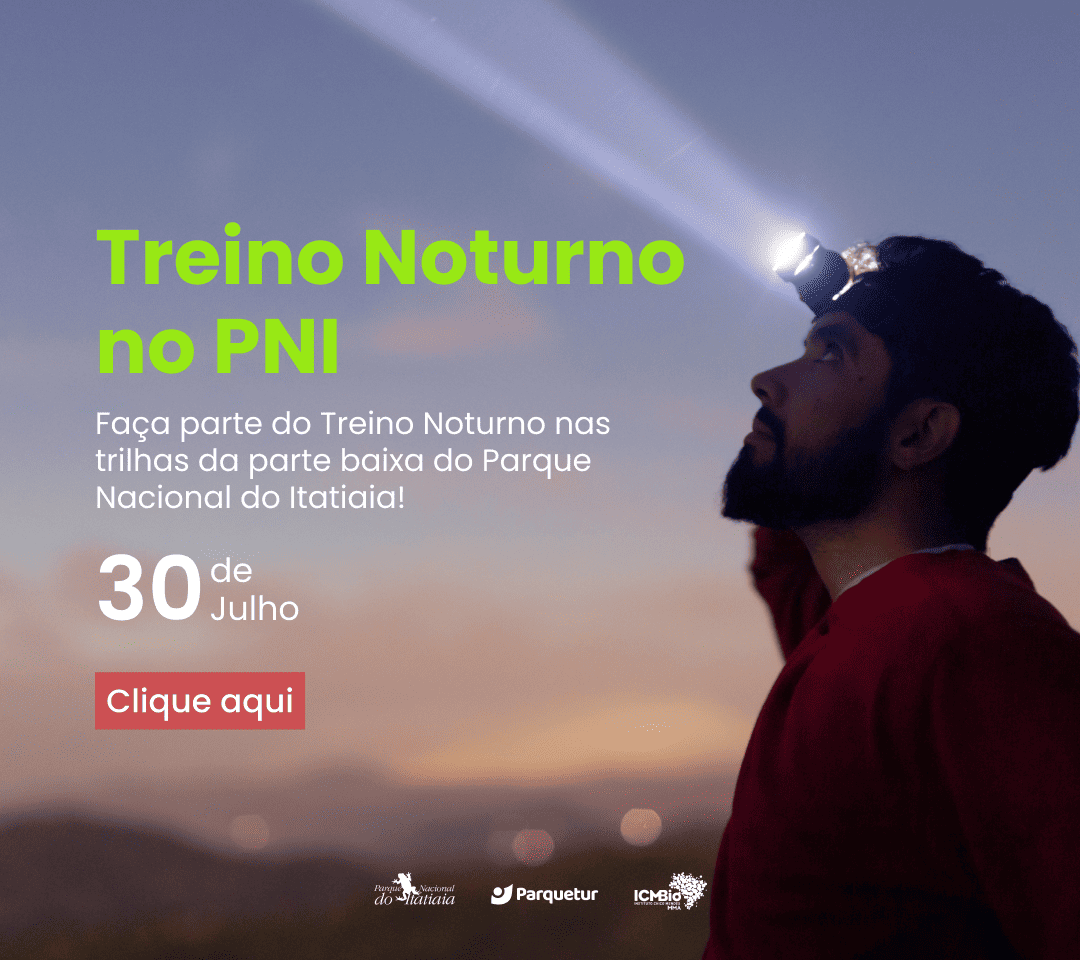 Treino Noturno