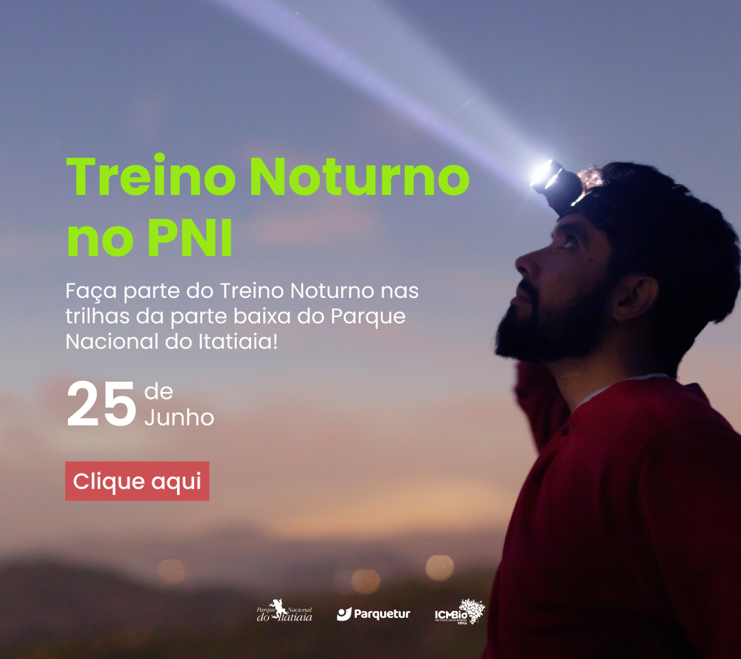 Treino Noturno