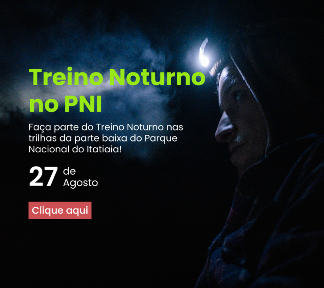 Treino Noturno